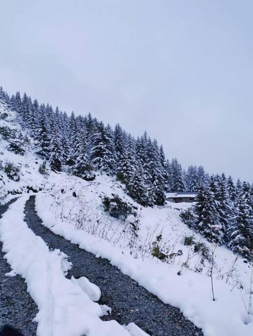 Appartement De 80M² Plein Sud Entierement Renove La Plagne Exteriör bild